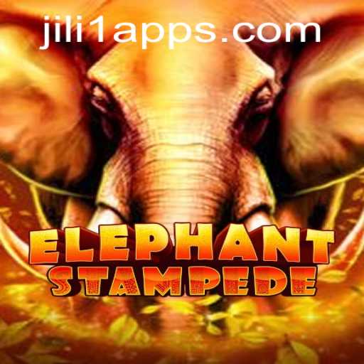 Elephant Stampede Game Experience